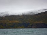 IMG 7439