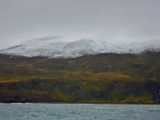 IMG 7441