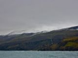 IMG 7445