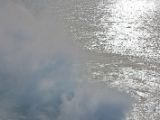 IMG 7519