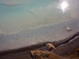 IMG 7524
