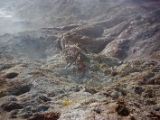 IMG 7532