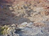 IMG 7535