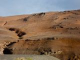 IMG 7553