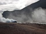 IMG 7558