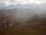 IMG 7566