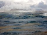 IMG 7567