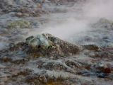 IMG 7585