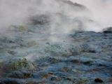 IMG 7586