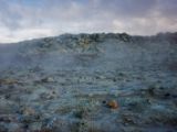 IMG 7588