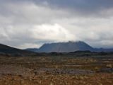 IMG 7591