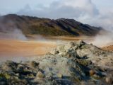 IMG 7593