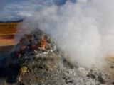 IMG 7597