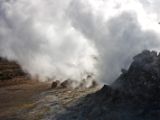 IMG 7603