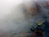 IMG 7613