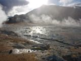 IMG 7633