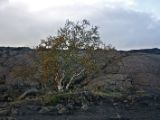 IMG 7638