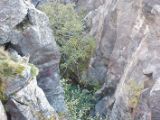 IMG 7670