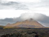 IMG 7675
