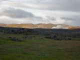 IMG 7684