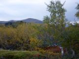 IMG 7687