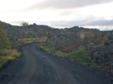IMG 7689