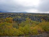 IMG 7705
