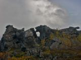 IMG 7731