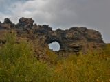 IMG 7737