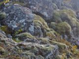 IMG 7748