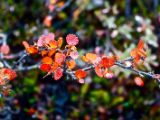 IMG 7751