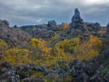IMG 7761