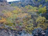IMG 7763