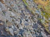 IMG 7764