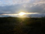 IMG 7775