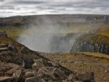IMG 7784