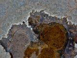 IMG 7794