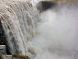 IMG 7795