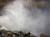 IMG 7806