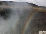 IMG 7810