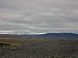 IMG 7832