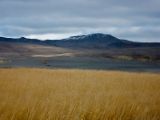 IMG 7834