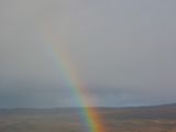 IMG 7838