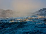 IMG 7842