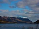 IMG 7854