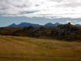 IMG 7873