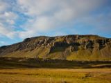 IMG 7892