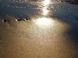 IMG 7912