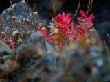 IMG 7948