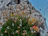 IMG 7959